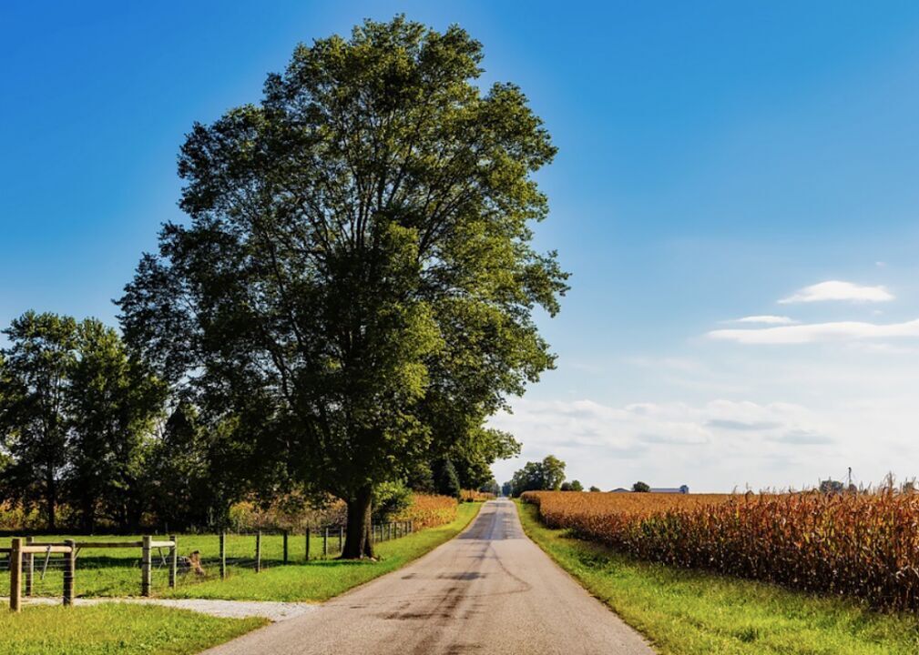 #48. Indiana